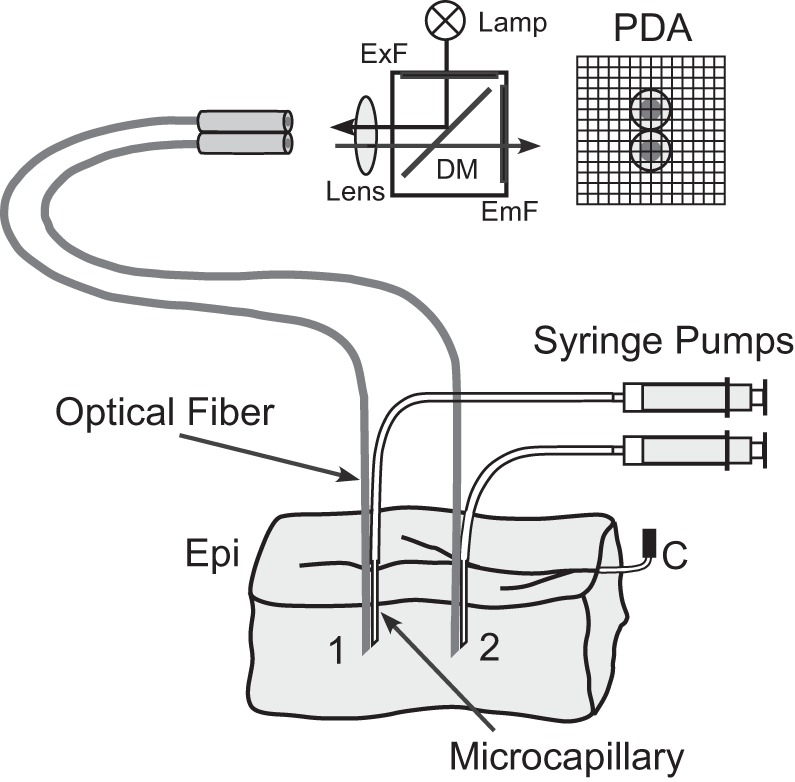 Fig. 1.