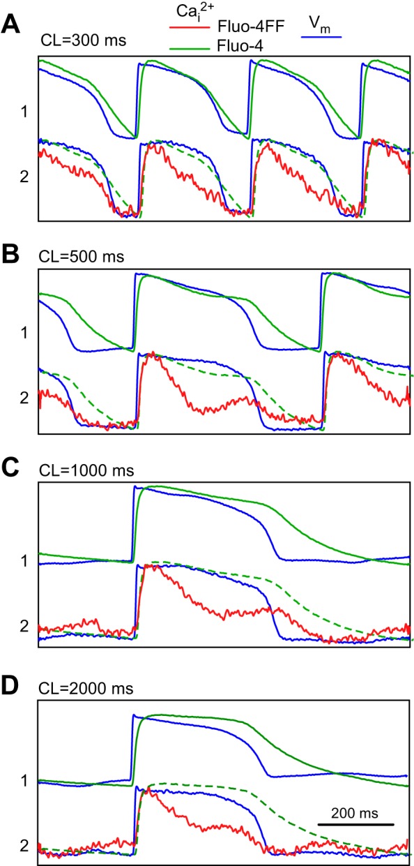 Fig. 3.