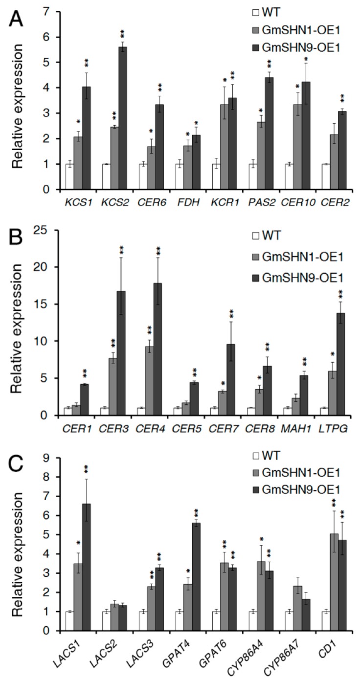 Figure 11