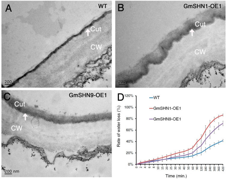 Figure 9