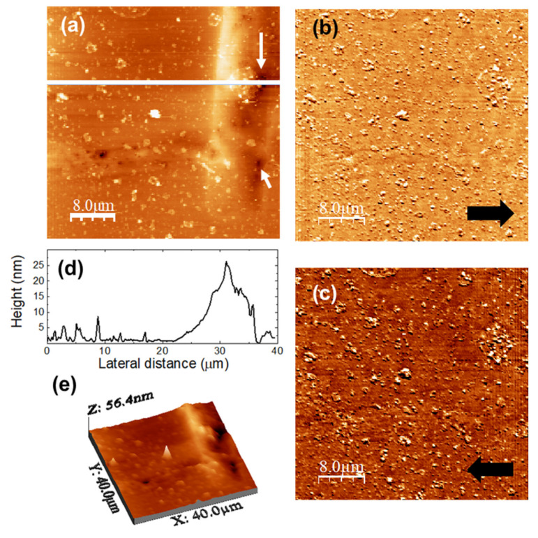 Figure 11