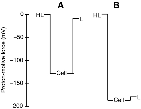 Fig. 6.