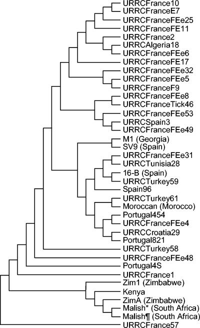 FIG. 5.