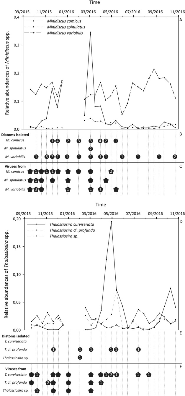 Fig. 6