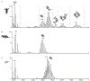 Figure 4 -