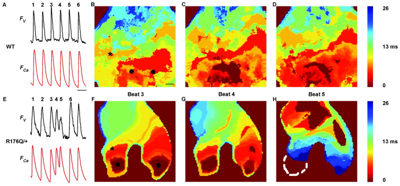 Fig. 4