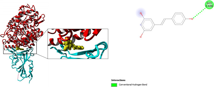 Fig. 4