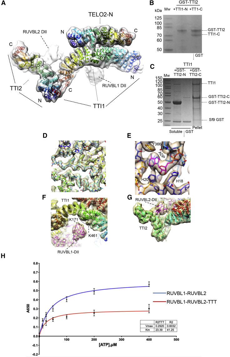 Figure 3