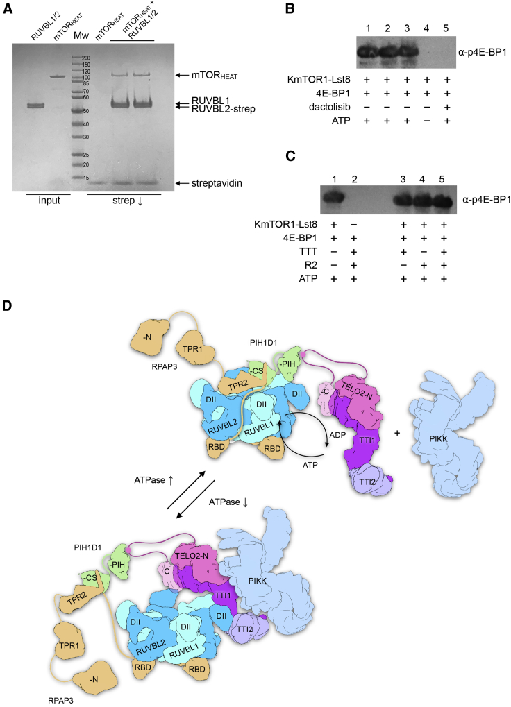 Figure 6