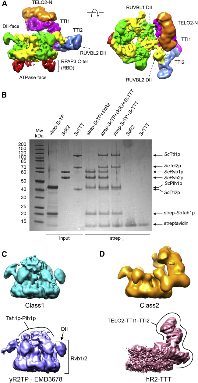 Figure 4