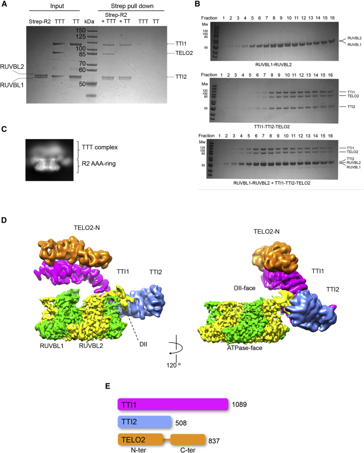 Figure 1