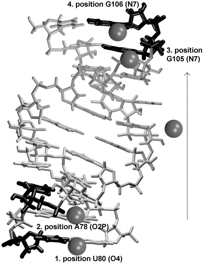 FIGURE 8