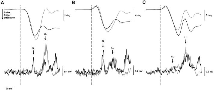 Fig 2