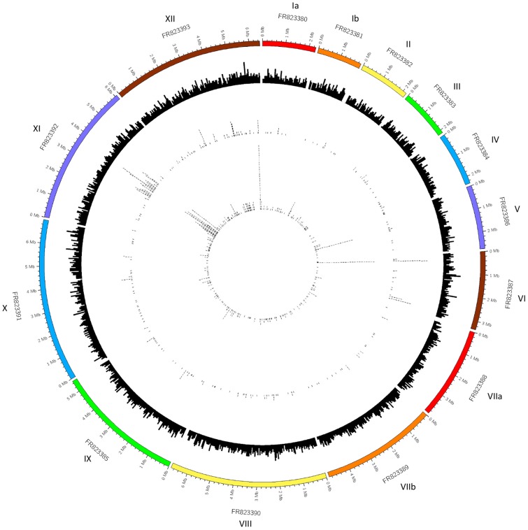 Fig. 3.