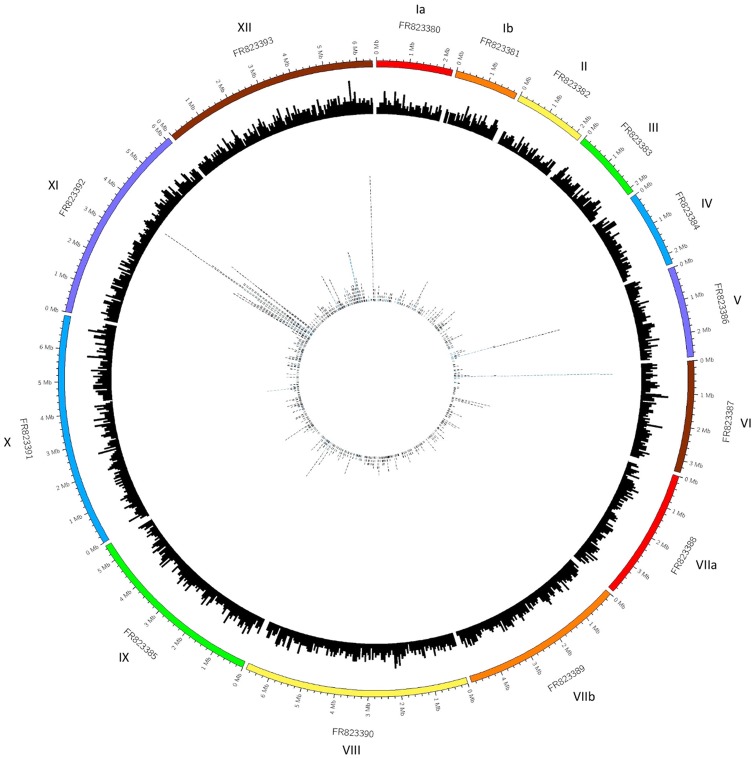 Fig. 2.