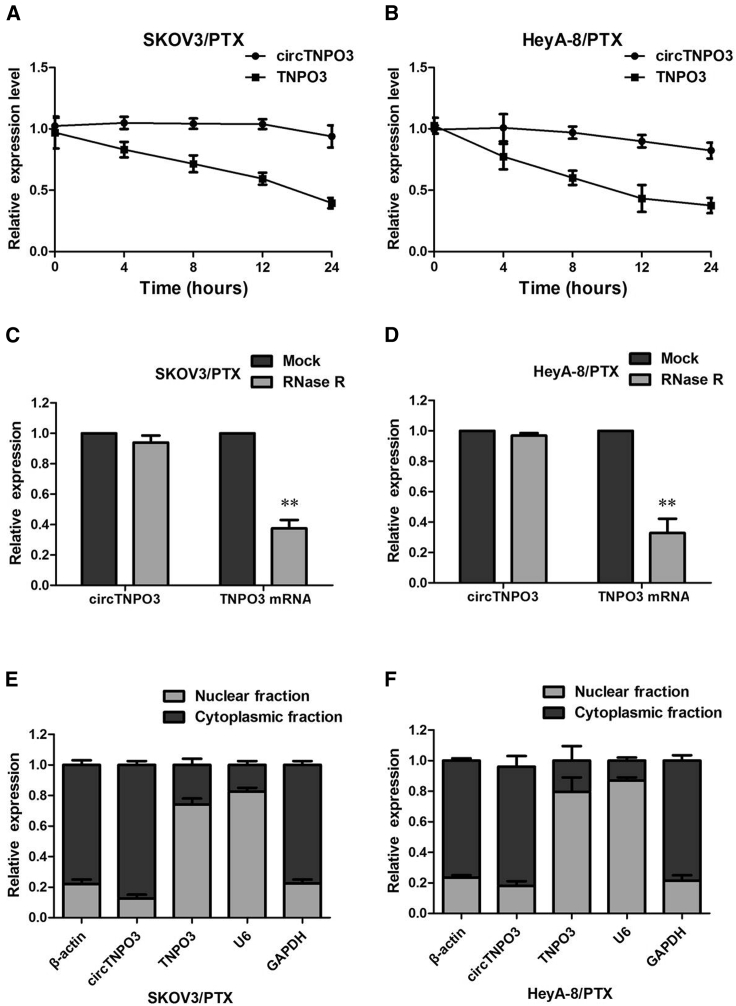 Figure 4