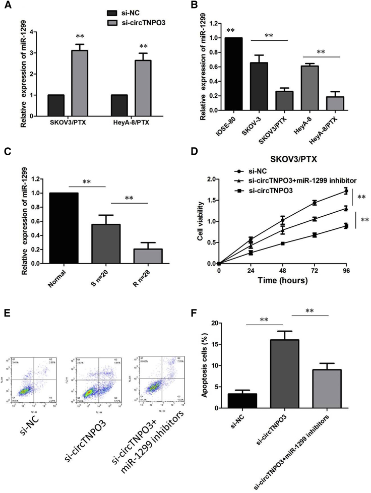 Figure 6