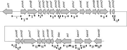 FIG. 6.