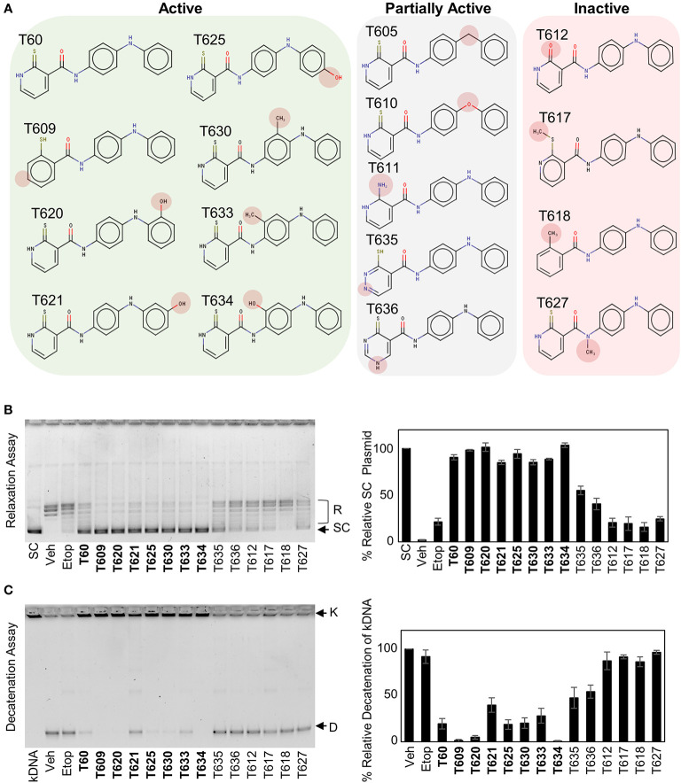 Figure 5