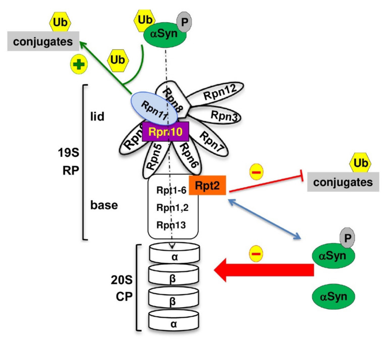 Figure 10