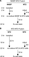 FIG. 2.
