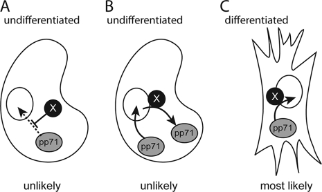 FIG. 9.