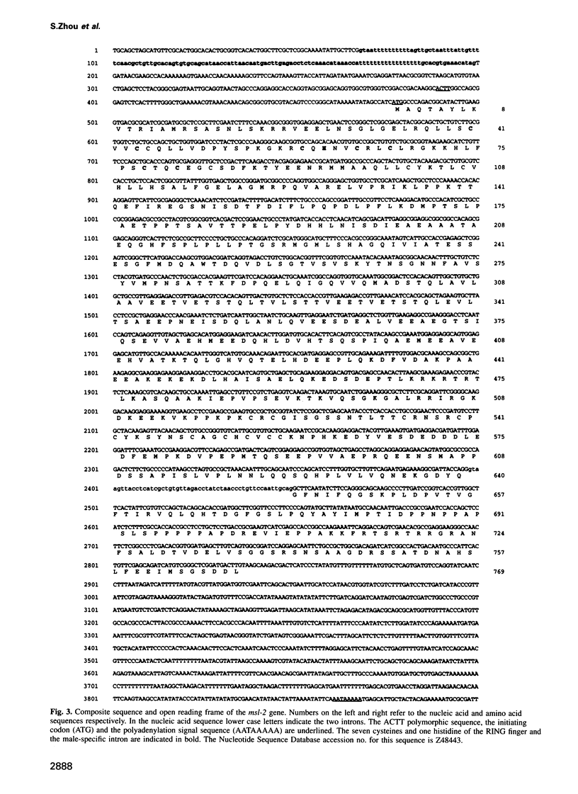 2888