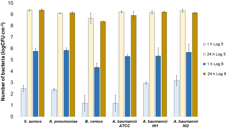 Figure 5