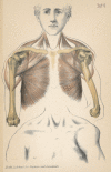 Fig. 10