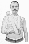 Fig. 8