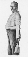 Fig. 5