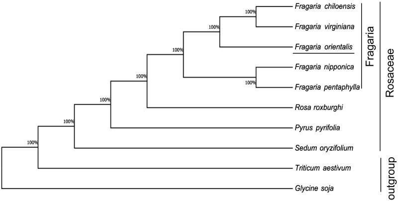 Figure 1.