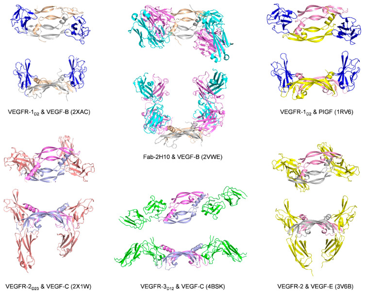 Figure 10