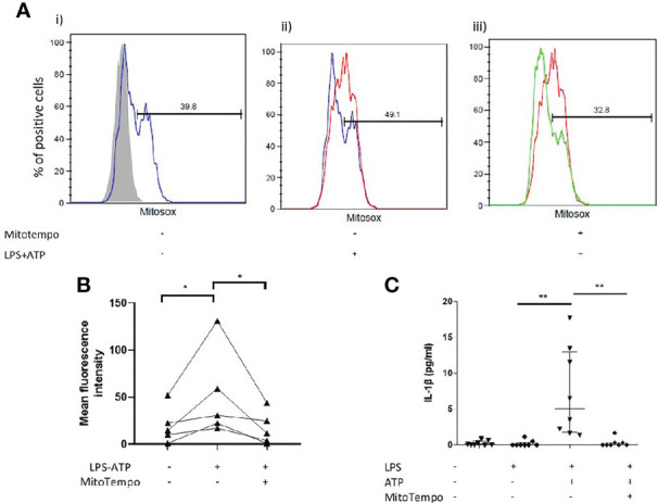 Figure 4