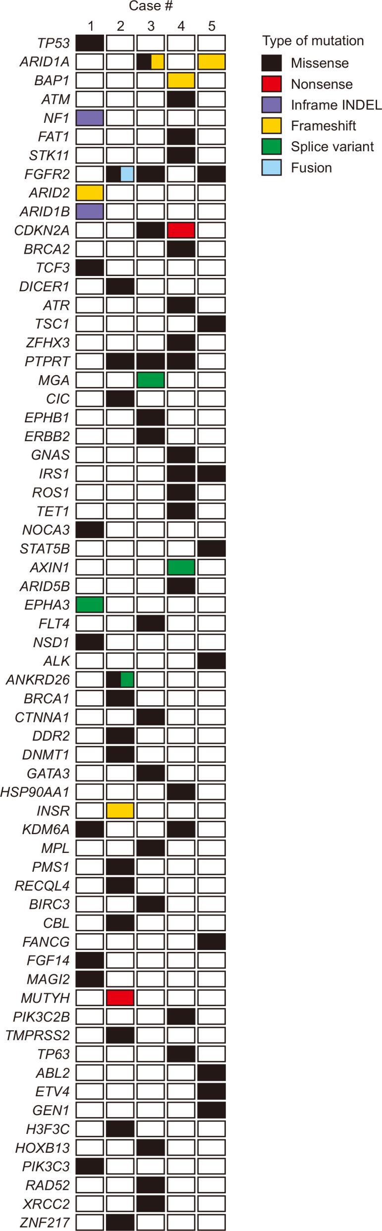 Fig. 3