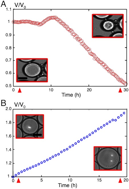 Fig. 5.