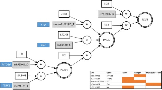 Fig. 12