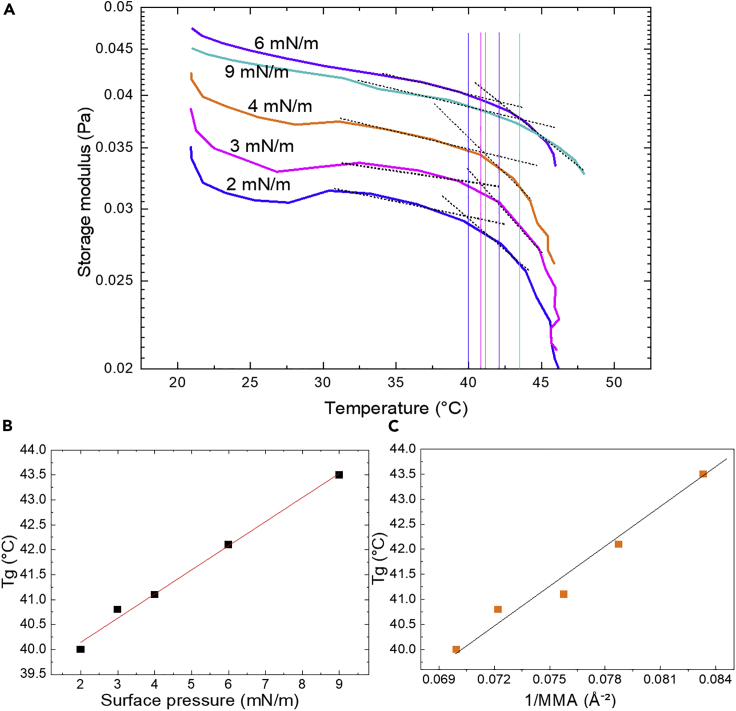 Figure 3