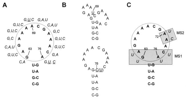 FIG. 3.