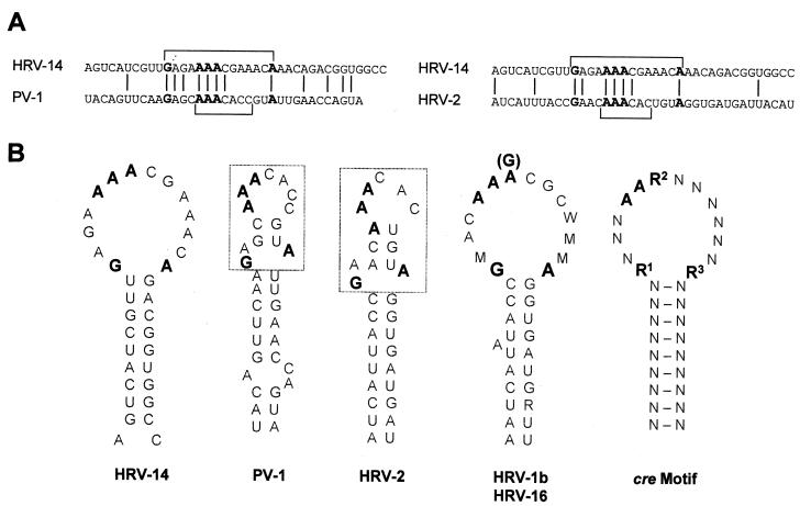 FIG. 8.