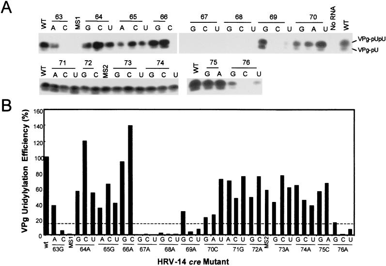 FIG. 6.