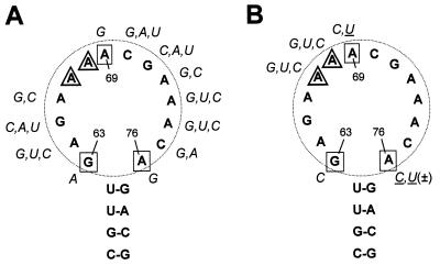 FIG. 5.