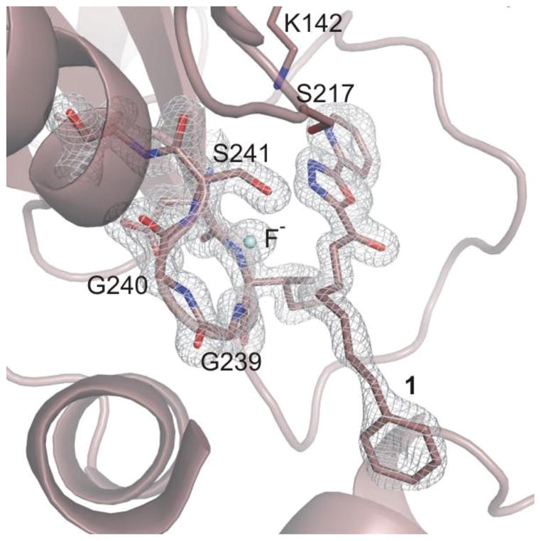 Figure 5