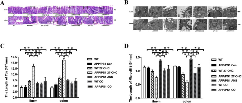 Fig. 15