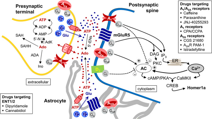 FIGURE 2