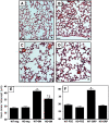 <b>Figure 6.</b>