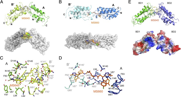 Fig. 2.