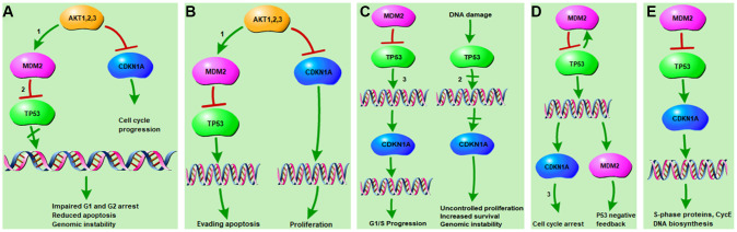 Figure 5