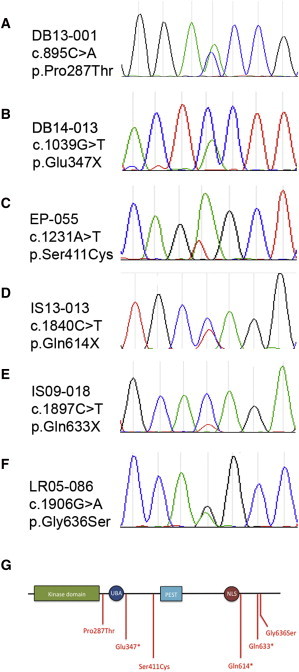 Figure 2