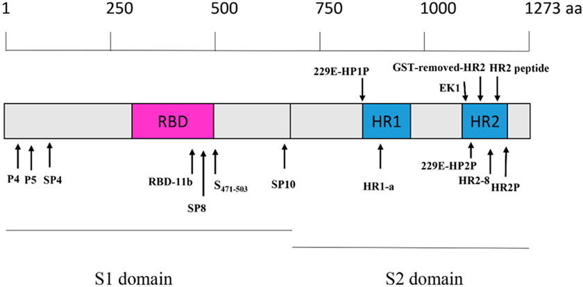 Figure 7.